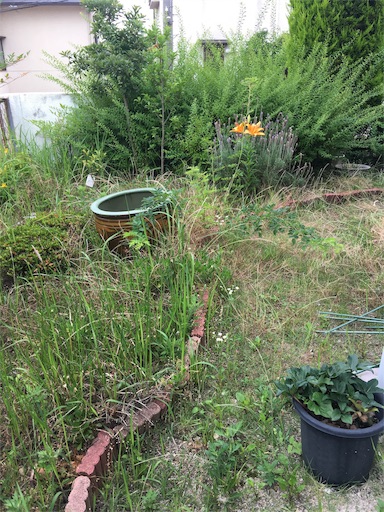 f:id:happyengel:20190611081735j:image