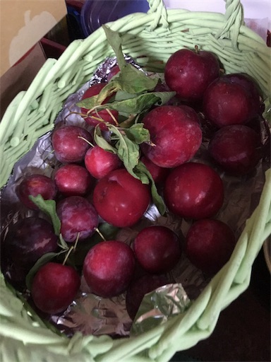 f:id:happyengel:20190617160759j:image