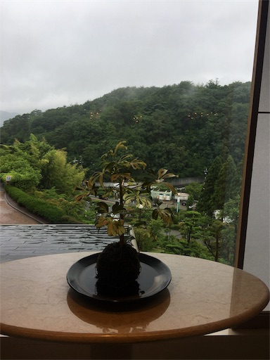 f:id:happyengel:20190702150523j:image