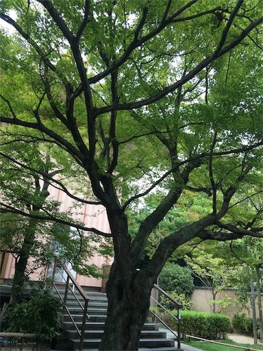 f:id:happyengel:20191003064734j:image