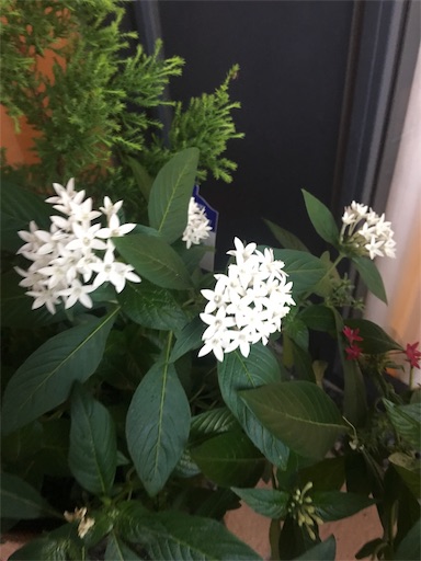 f:id:happyengel:20191004000840j:image