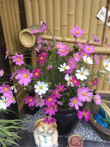 f:id:happyengel:20191010194825j:image