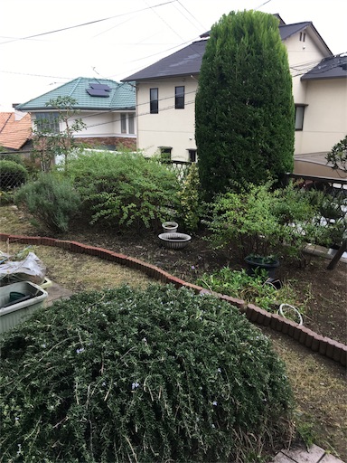 f:id:happyengel:20191018171419j:image