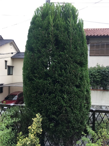 f:id:happyengel:20191018171645j:image