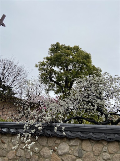 f:id:happyengel:20200402120302j:image f:id:happyengel:20200402120302j:image
