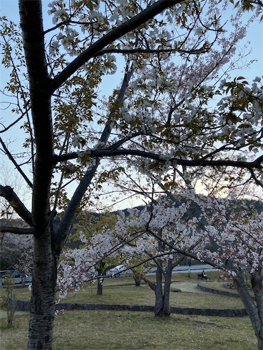 f:id:happyengel:20200409200320j:image