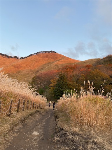 f:id:happyengel:20201113113214j:image