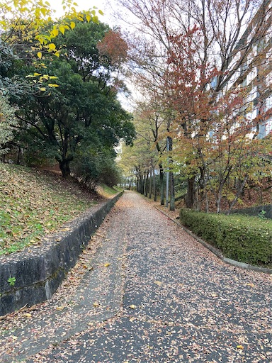 f:id:happyengel:20201120143303j:image
