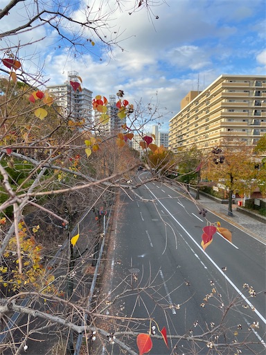 f:id:happyengel:20201120143557j:image