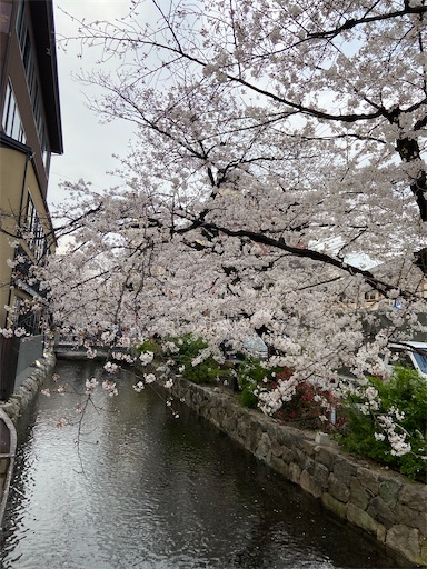 f:id:happyengel:20210328181429j:image