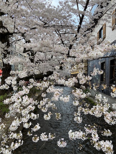 f:id:happyengel:20210328181454j:image