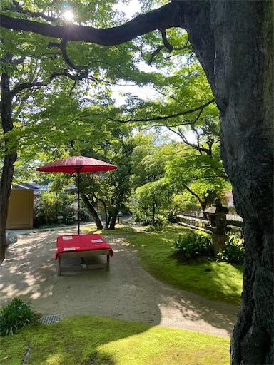 f:id:happyengel:20210424195208j:image f:id:happyengel:20210424195208j:image