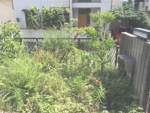 f:id:happyengel:20210720142905j:image