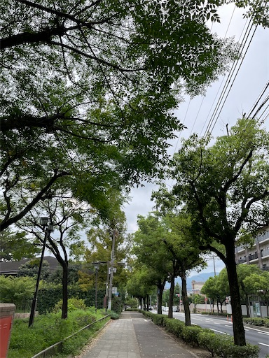 f:id:happyengel:20210901151700j:image