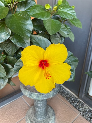 f:id:happyengel:20211009134320j:image f:id:happyengel:20211009134320j:image