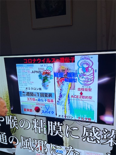 f:id:happyengel:20220120234129j:image