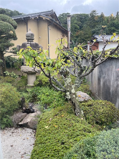 f:id:happyengel:20221008112959j:image