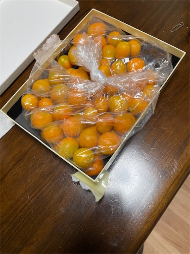 f:id:happyengel:20221229214208j:image