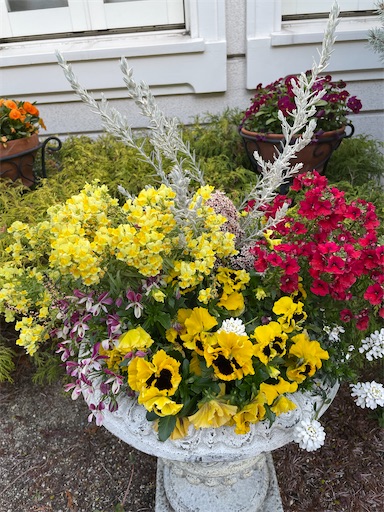 f:id:happyengel:20230324140937j:image f:id:happyengel:20230324140937j:image