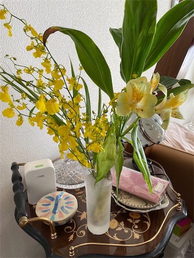 f:id:happyengel:20240118165710j:image