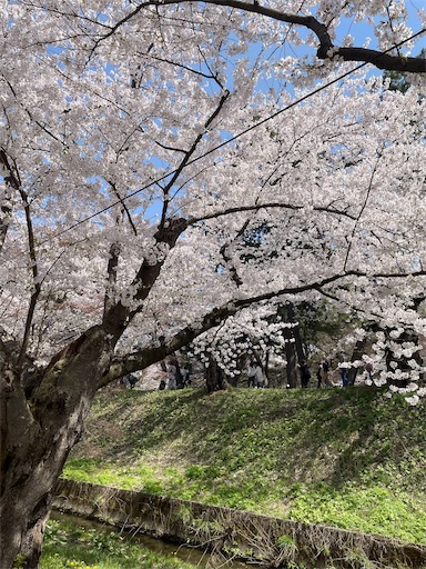 f:id:happyengel:20240421155503j:image f:id:happyengel:20240421155503j:image