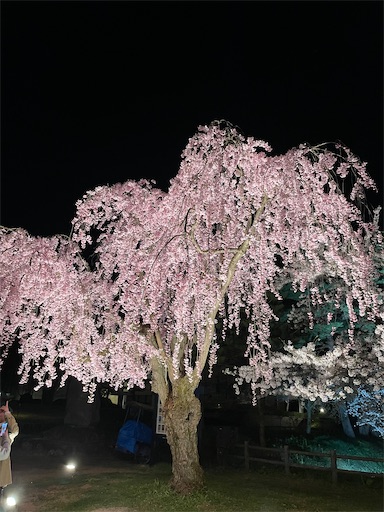 f:id:happyengel:20240421215926j:image