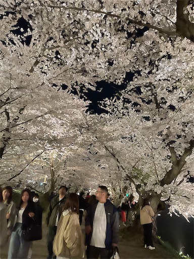 f:id:happyengel:20240421215939j:image