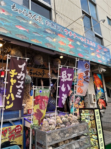 f:id:happyengel:20240610143250j:image