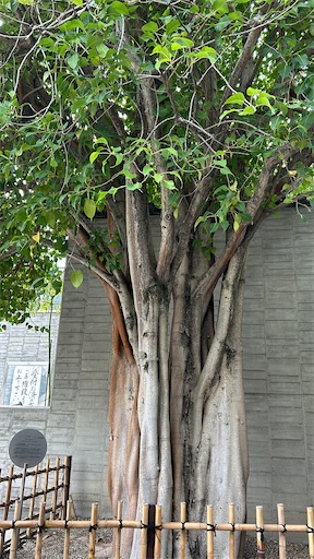 f:id:happyengel:20240923145439j:image