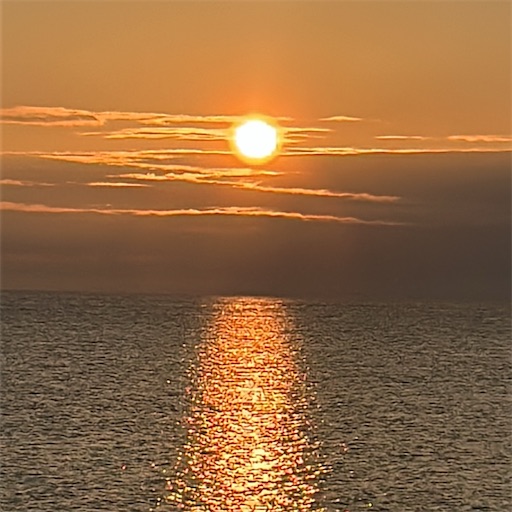 f:id:happyengel:20250728190314j:image