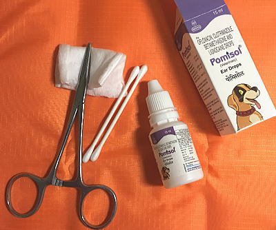 f:id:happyenn:20190701003037j:plain