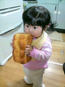 f:id:happyfamily0101:20200521235646j:plain