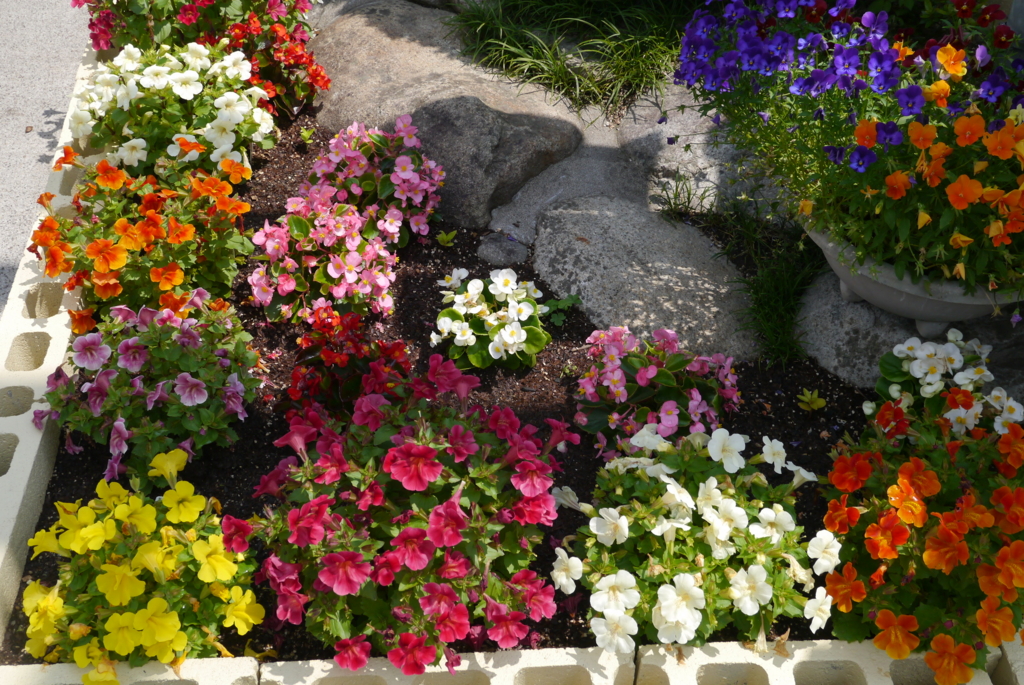 f:id:happyflowertrees:20170528141012j:plain f:id:happyflowertrees:20170528141012j:plain