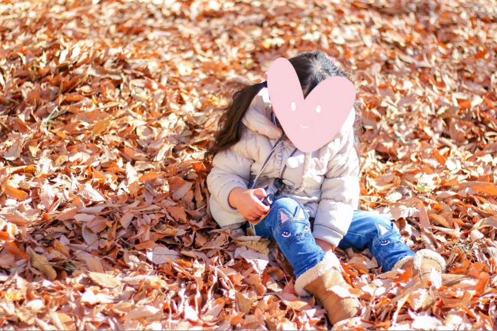 f:id:happyfufu:20170428111109j:plain f:id:happyfufu:20170428111109j:plain