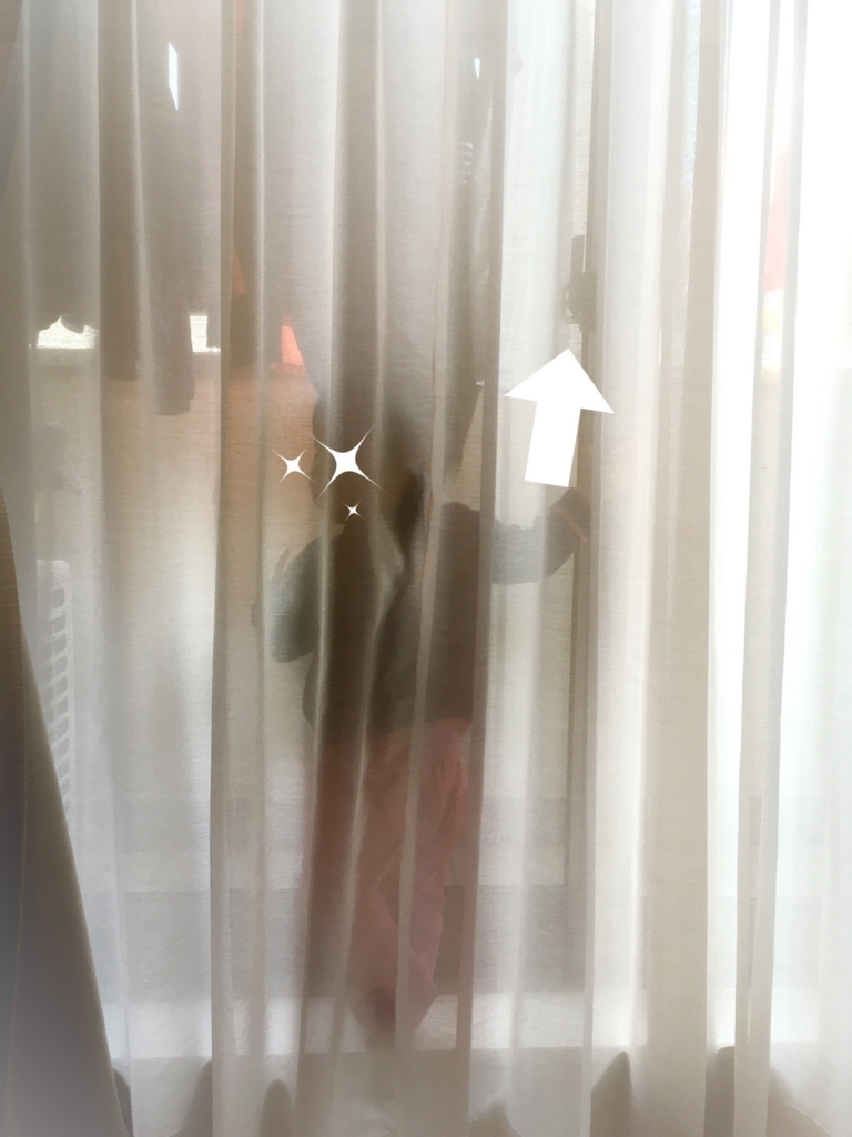 f:id:happyfufu:20180216222223j:plain f:id:happyfufu:20180216222223j:plain