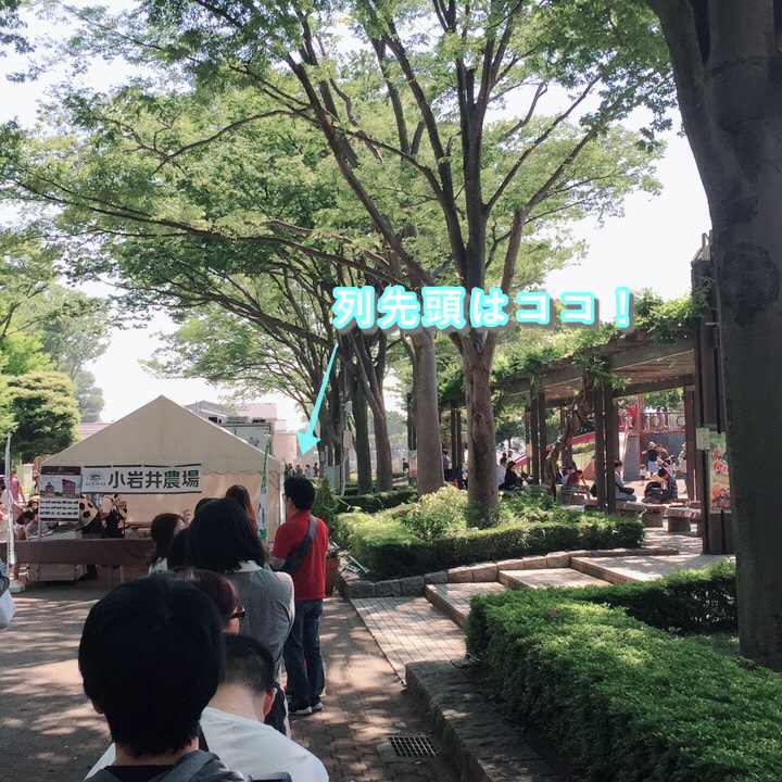 f:id:happyfufu:20180515011409j:plain f:id:happyfufu:20180515011409j:plain