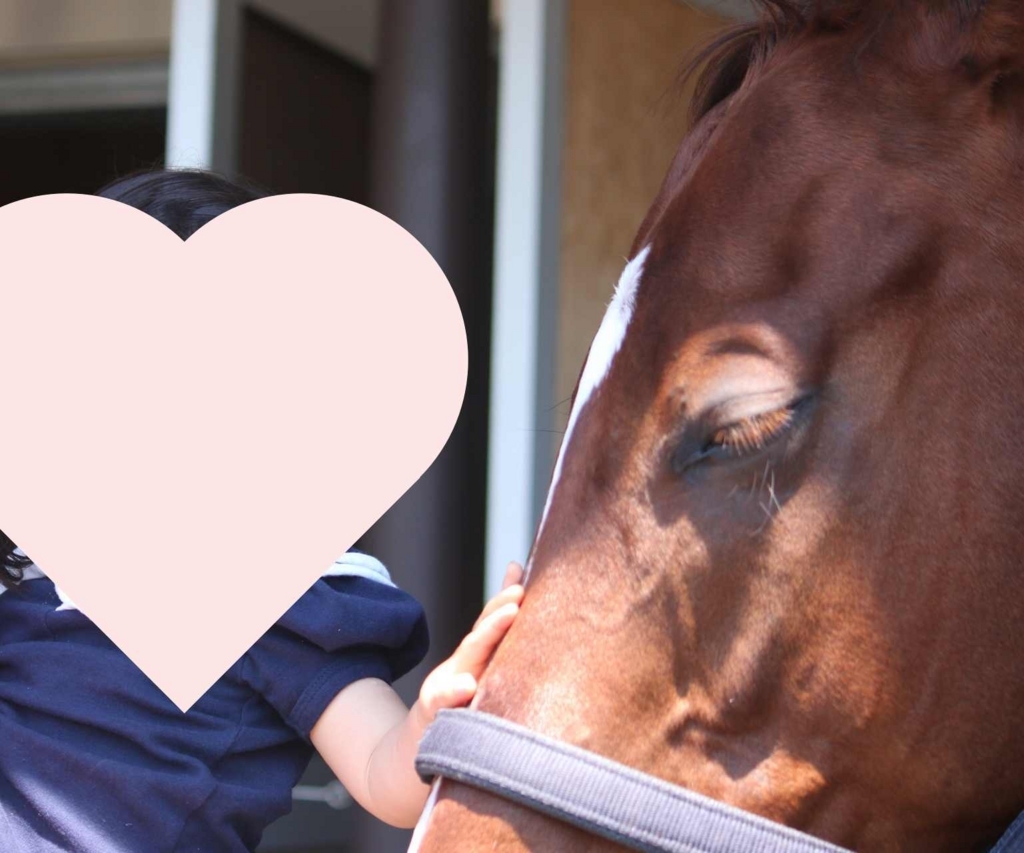 f:id:happyfufu:20180515124001j:plain f:id:happyfufu:20180515124001j:plain