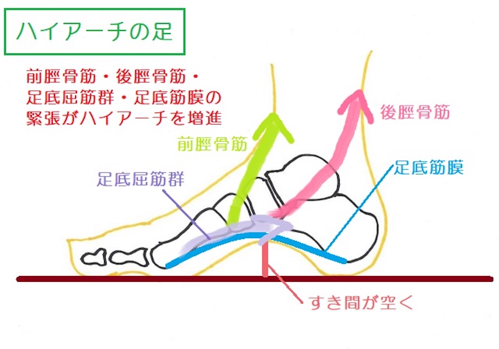 f:id:happyfunnylovely:20260711202115j:image