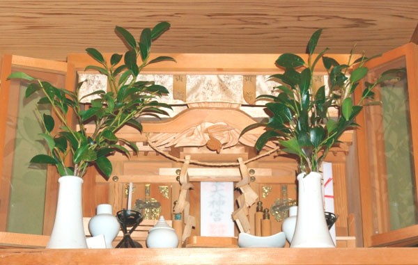 f:id:happyfusui:20201229165529j:plain