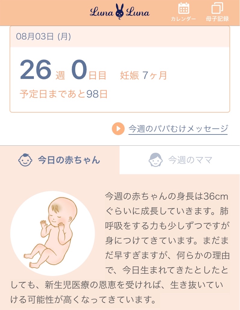 ついに26週目にはいりました 平凡保育士の育児日記