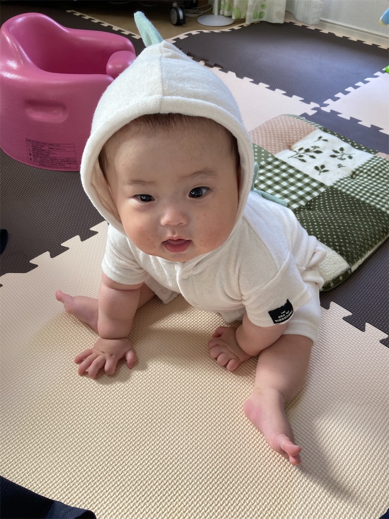 寝返りとは 一般の人気 最新記事を集めました はてな