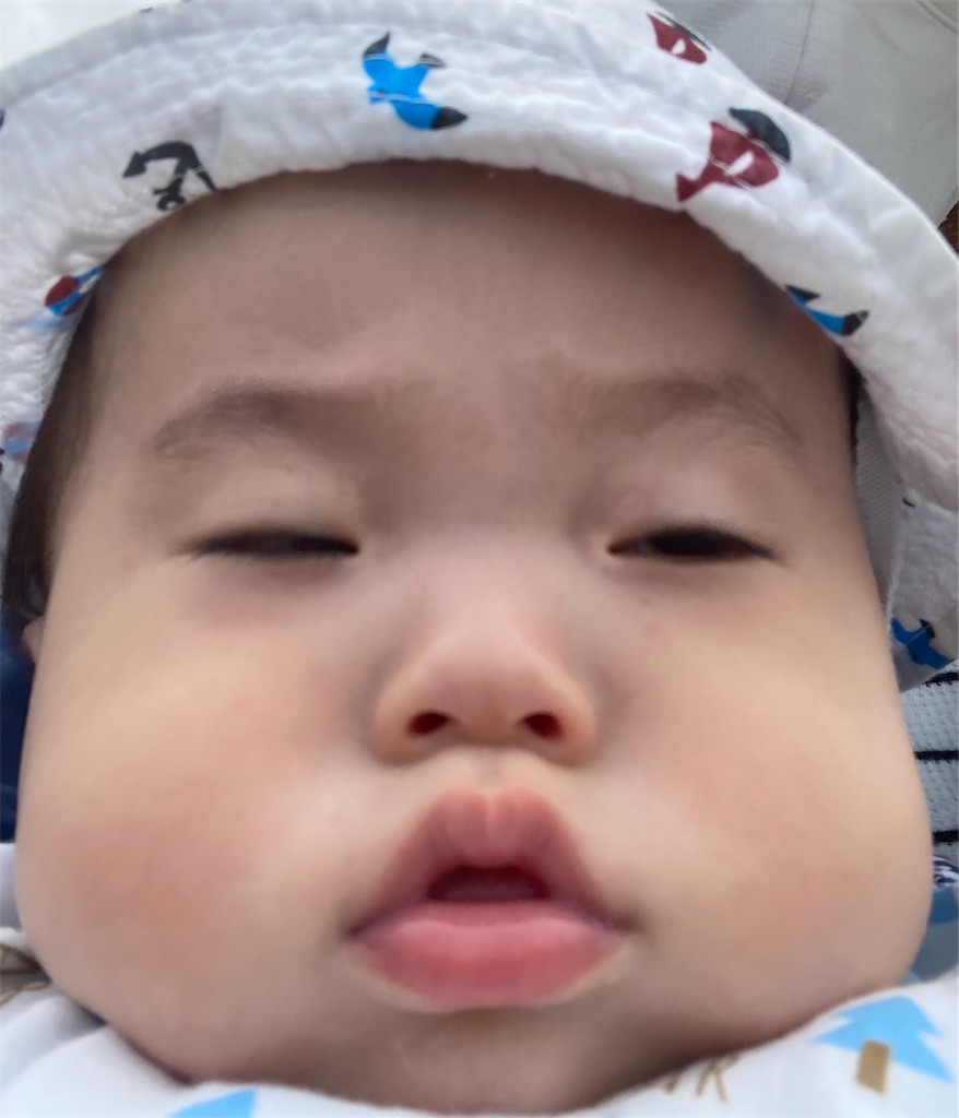 f:id:happygaji:20210930195511j:image