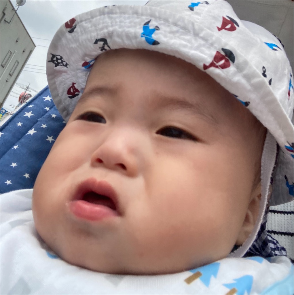 f:id:happygaji:20210930195533j:image