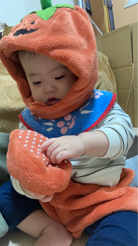 f:id:happygaji:20211107221644j:image
