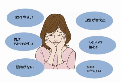 f:id:happygolucky8011:20180414235739j:plain