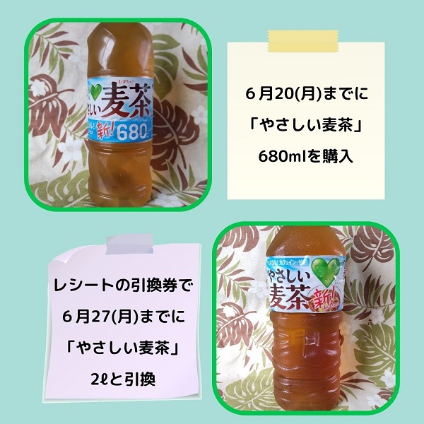 ファミマ　サントリー麦茶