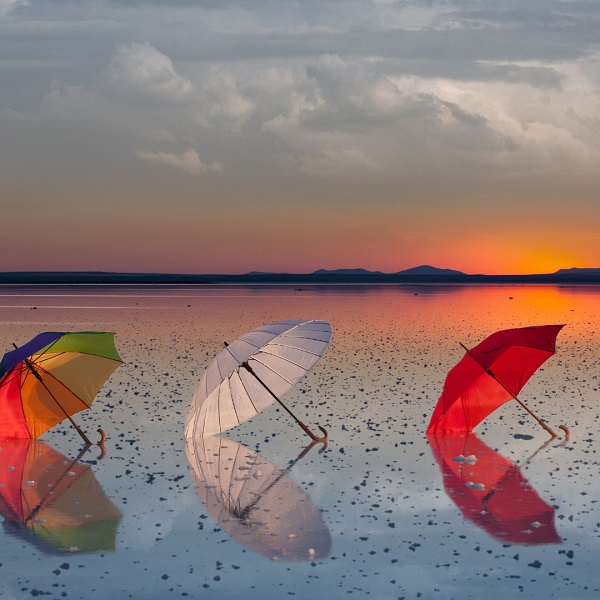 サタプラ　折り畳み傘