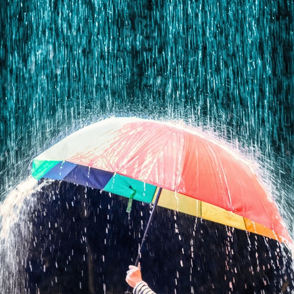 めざましテレビ ココ調 雨 梅雨