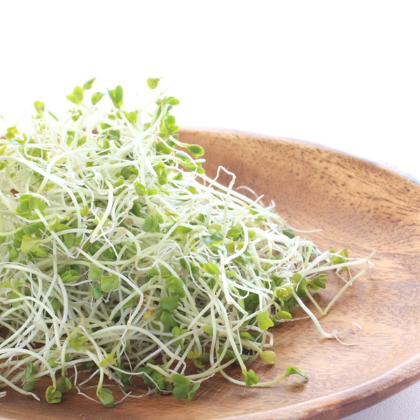 カズレーザーと学ぶ ブロッコリースプラウト