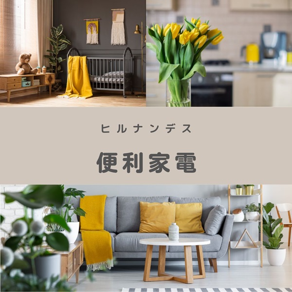 ヒルナンデス ビックカメラ 家電